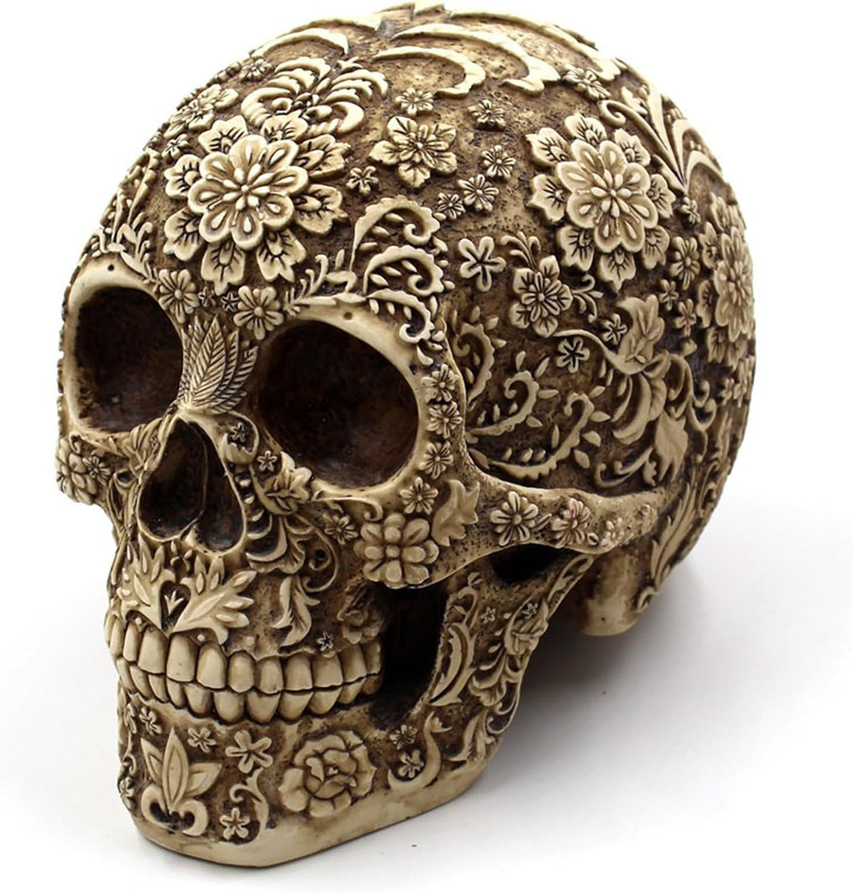Life Size Plastic Skull - Skeleton Head Prop for Halloween Haunted House